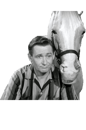 Wilbur Post and Mr. Ed