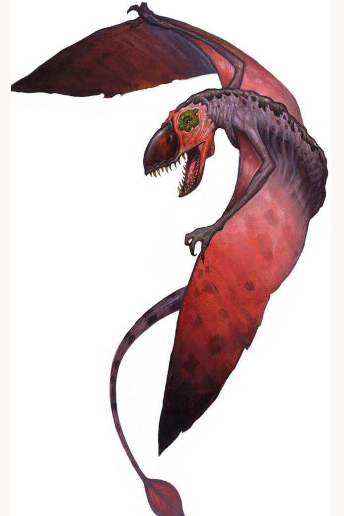 Dimorphodon